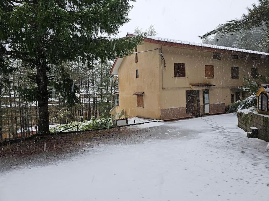 Loricaskihome Esterno foto